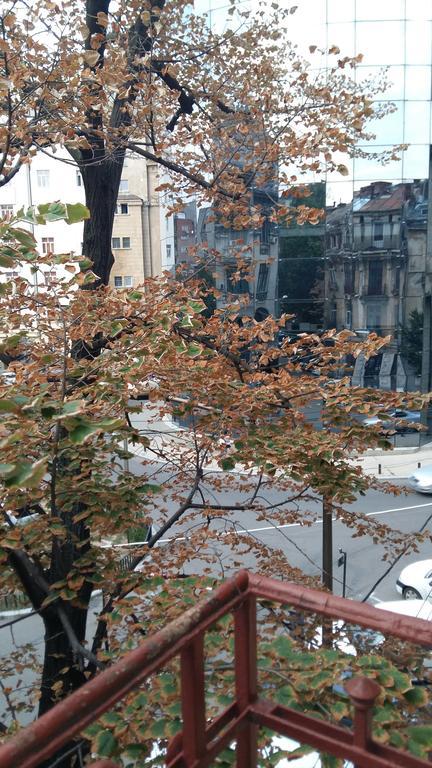 Lorena Apart Old Town 布加勒斯特 外观 照片